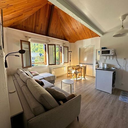 Appartement Borderes-Louron 1 A 3 Personnes 3 Etoiles, Proche Loudenvielle Kültér fotó
